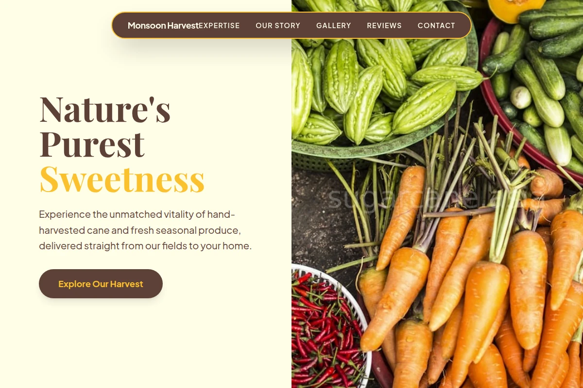 Root Fresh Produce