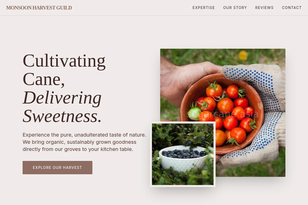 Emerald Organic Food